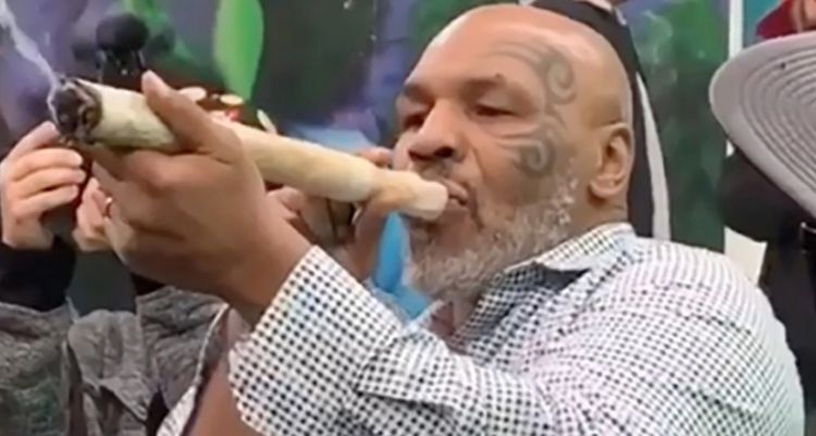 Mike Tyson Reveals How Much He Spends On Weed Per Month :: Hip-Hop Lately