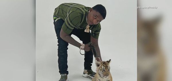 The Feds Raided Trapboy Freddy's House And Found a Tiger