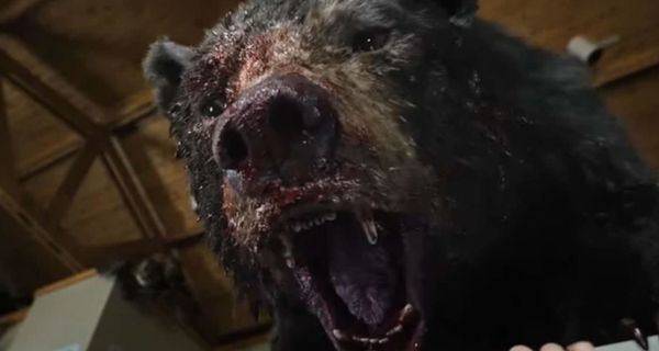 They Made A Movie About A Bear Who Did Cocaine (Trailer)